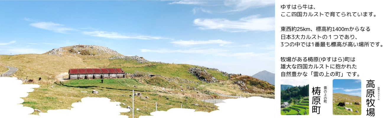 ランイチセット